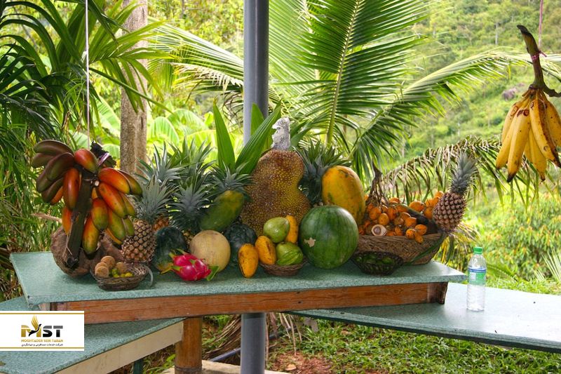 tropical-fruit-farm
