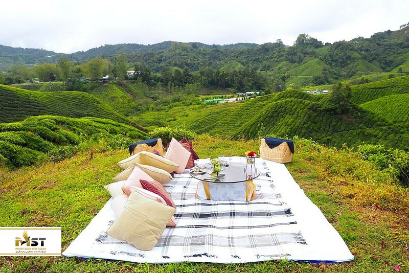 سفره میزبانی از گردشگران در مزارع چای مالزی