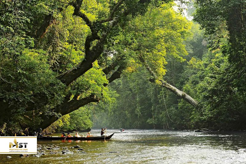 taman-negara