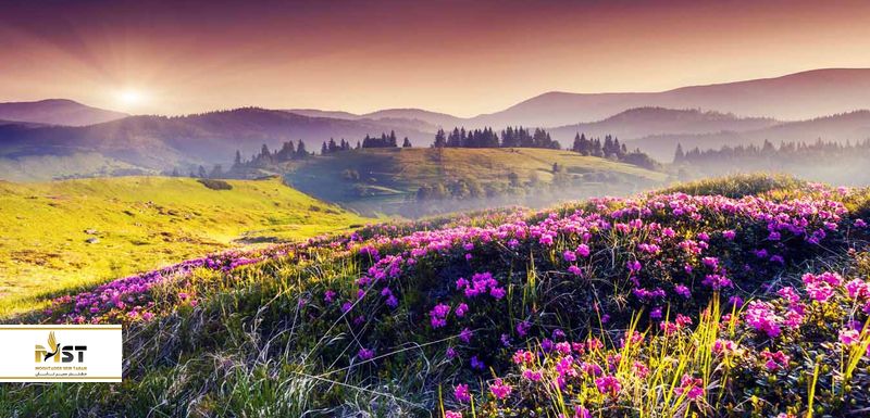 دره گل‌های ارمنستان