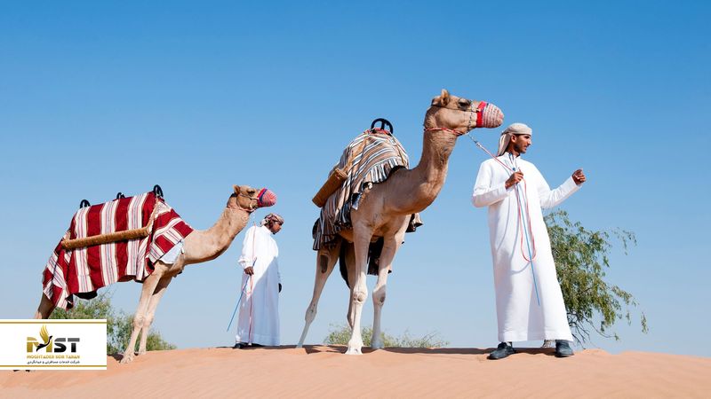 camel-caravan