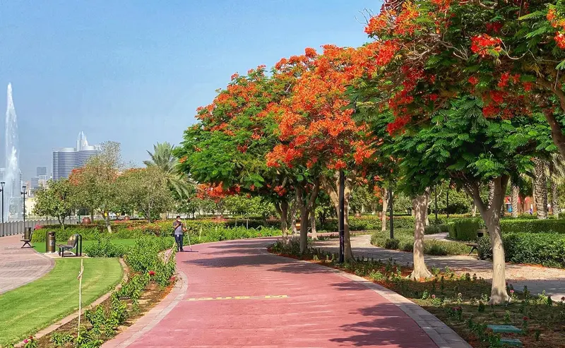 پارک البرشا پوند دبی