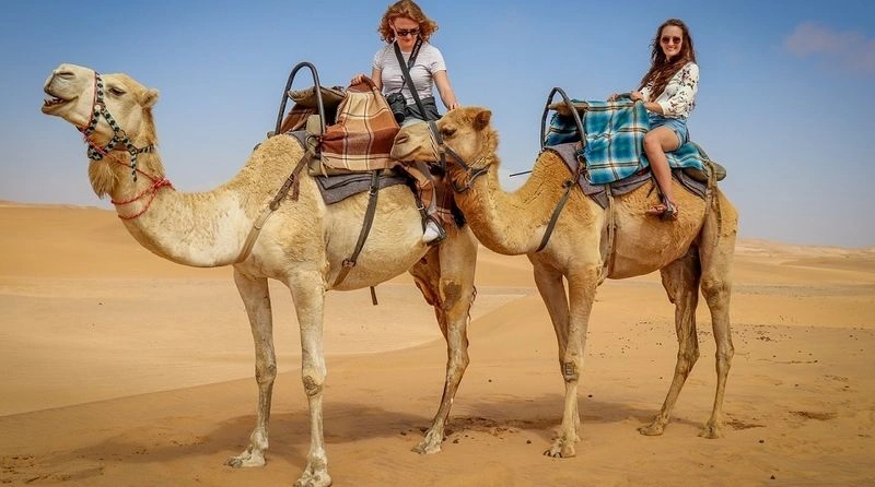 شترسواری یکی از متفاوت‌ترین فعالیت‌های کویری دبی است که می‌توانید تجربه کنید.