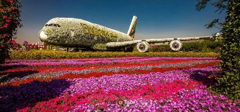 هواپیمای ایرباس A۳۸۰؛ بزرگ‌ترین سازه گل‌آرایی شده در جهان در دبی