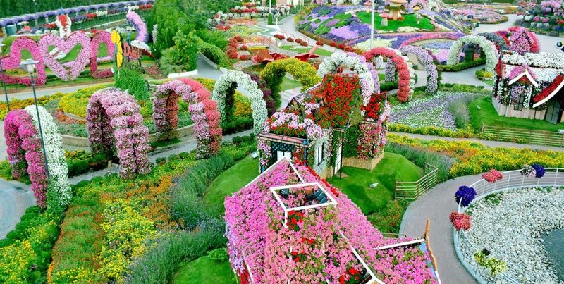 میراکل گاردن دبی