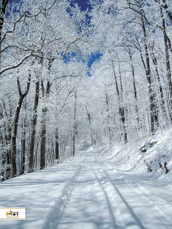 زمستان در گرجستان