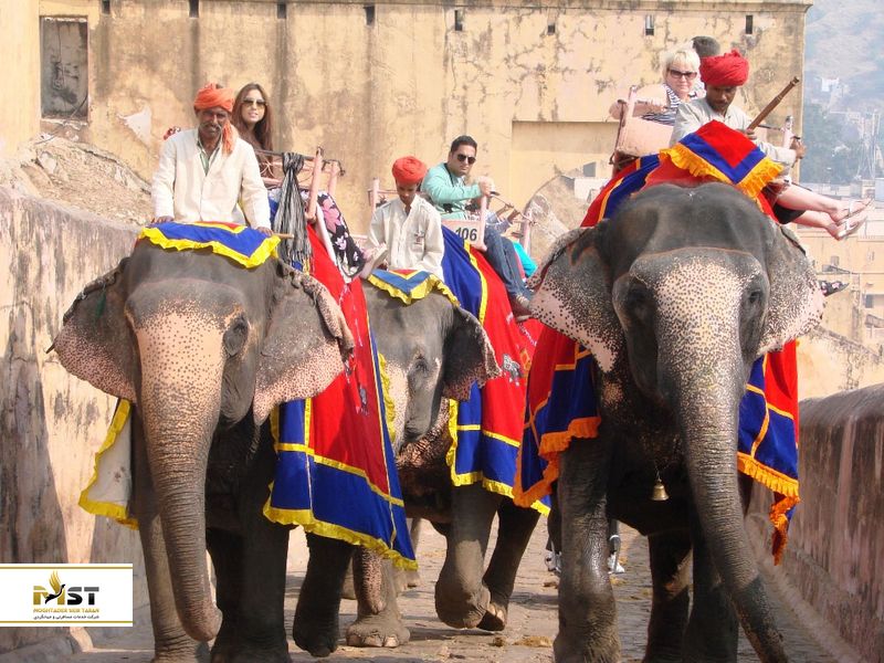  فیل سواری در جیپور