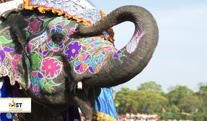 جشنواره فیل‌های جیپور