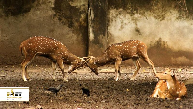 باغ وحش بمبئی