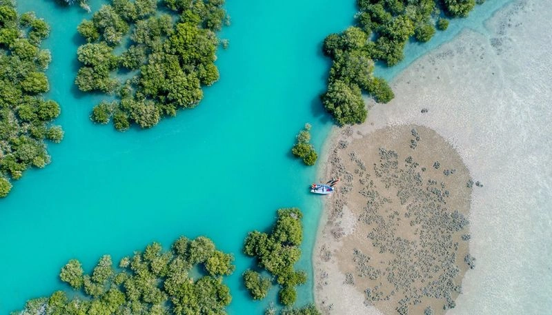 جنگل‌های حرا: طبیعت‌گردی در نزدیکی درگهان