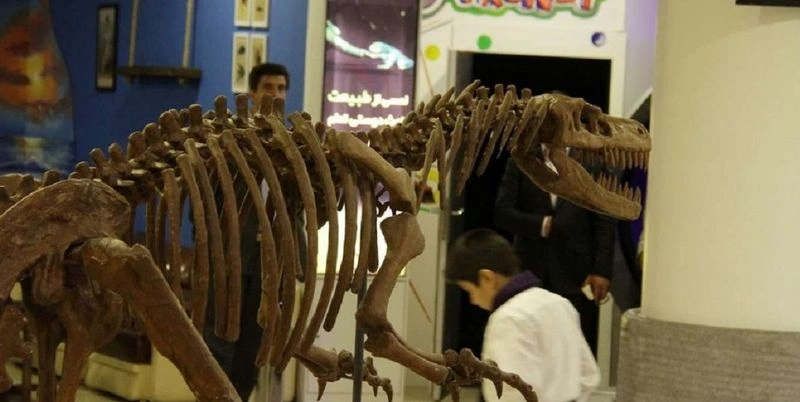  یکی دیگر از بخش‌های جذاب در این پارک علمی مشهد، مربوط به زمین‌شناسی و دنیای رازآلود دایناسورها است. با رفتن به این قسمت حس خواهید کرد که به میلیون‌ها سال پیش سفر کرده‌اید. کودکان در این بخش فرصت آشنا شدن با مفاهیم اولیه زمین‌شناسی، لایه‌های زمین، سنگ‌ها و نحوه تشکیل آن‌ها را خواهند داشت.