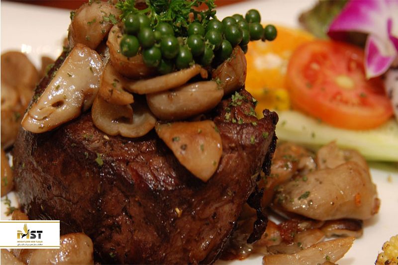Carnivore steak