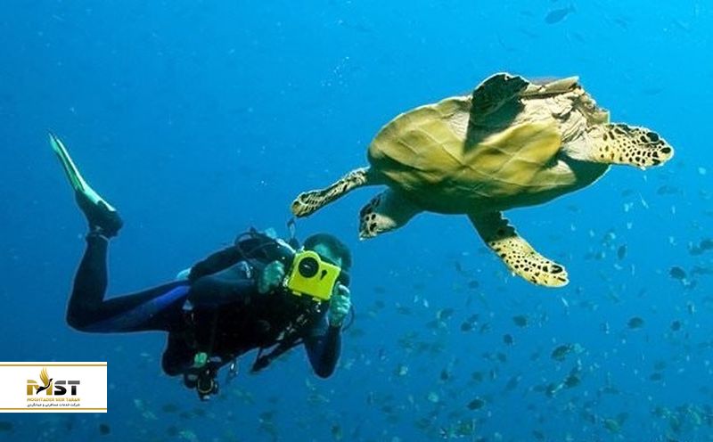 krabi-diving