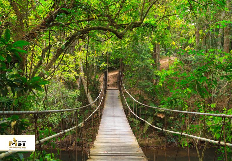 پارک ملی خائو سام روی یوت در تایلند