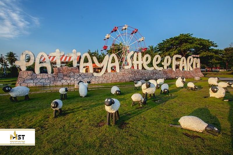 pattaya sheep farm