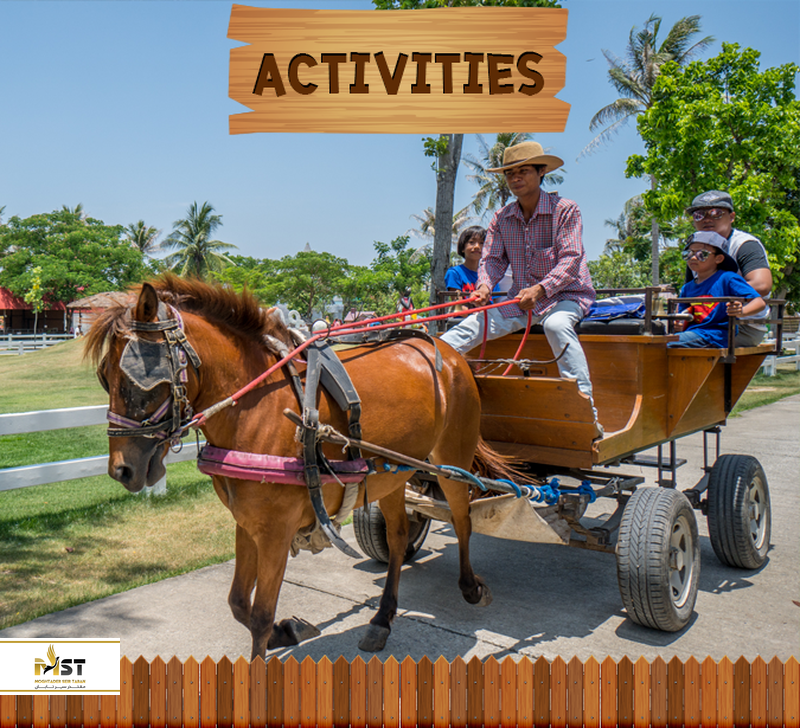 pattaya sheep farm