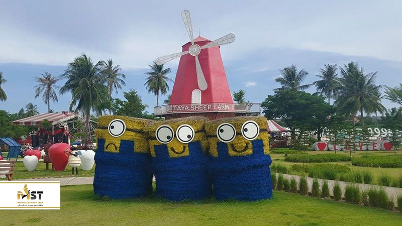 pattaya sheep farm