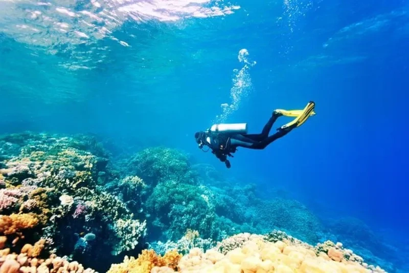 غواصی؛ سفری به دنیای زیر آب