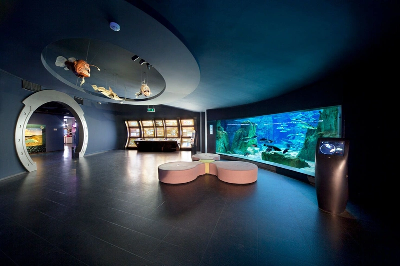 بخش آتلانتیک در آکواریوم استانبول