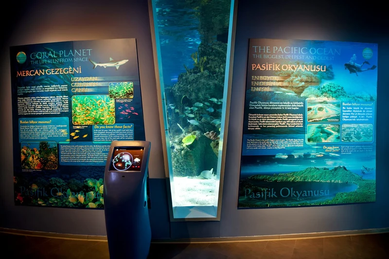 اطلاعات درج شده در تابلوهای بخش پاسیفیک آکواریوم استانبول
