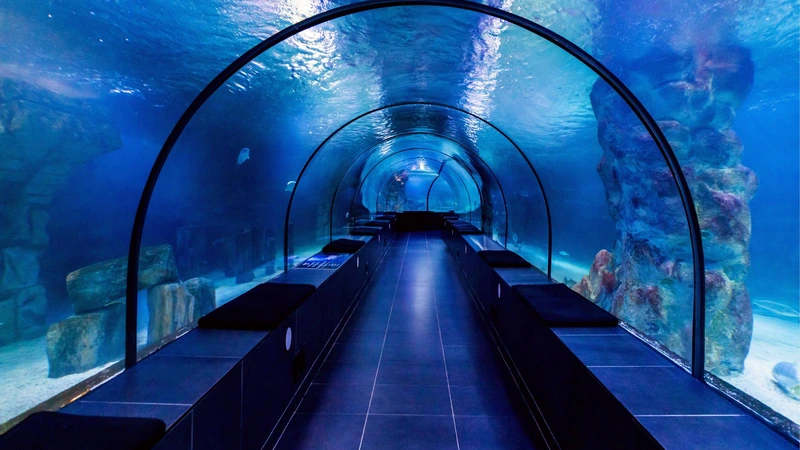 تونل آبی آکواریوم سی لایف