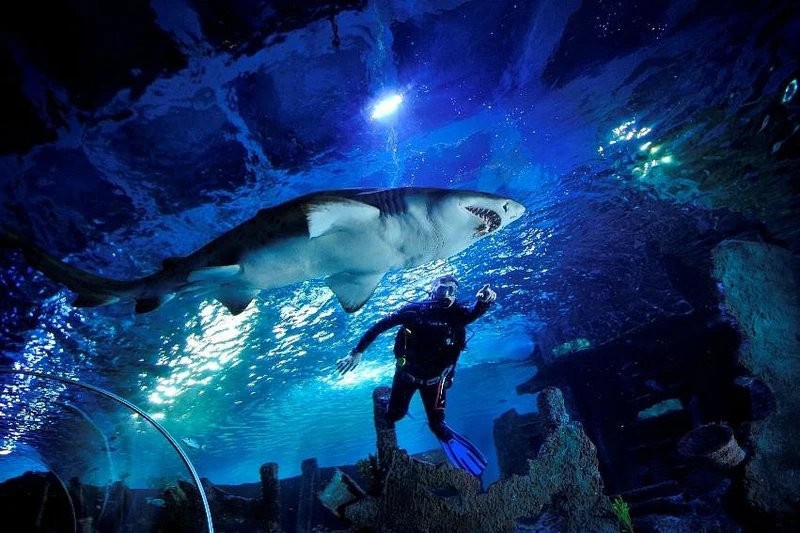 نمای هوایی از گالاتاپورت