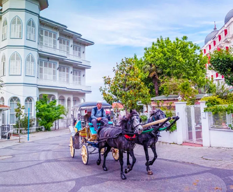 تفریح در کوچه باغ‌های تاریخی جزیره