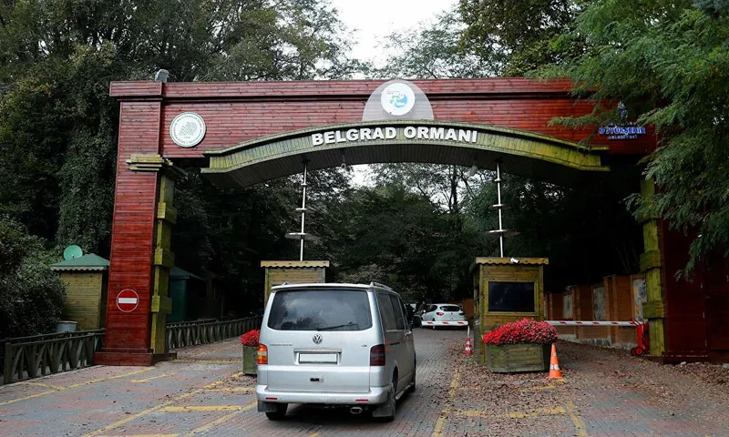 دسترسی به جلگلهای بلگراد با تاکسی