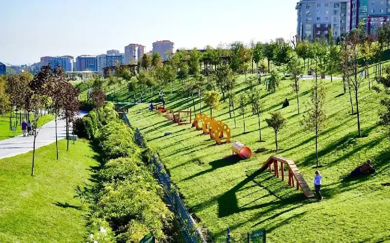 بیلیک دوزو در سفر به استانبول