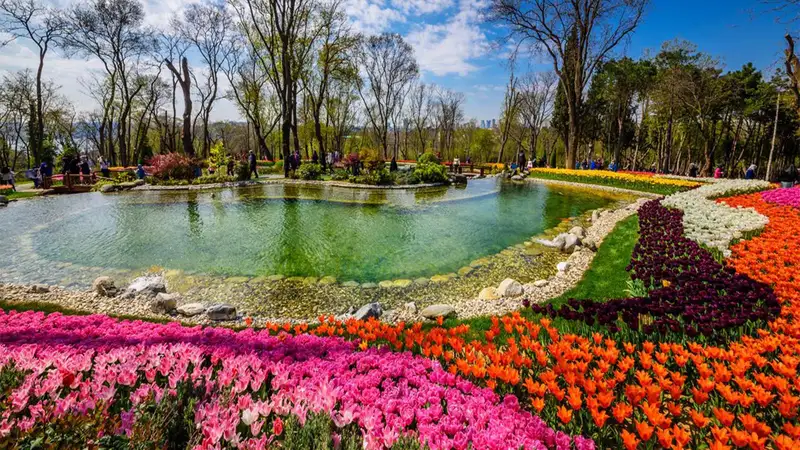 گل‌های لاله در پارک امیرگان استانبول
