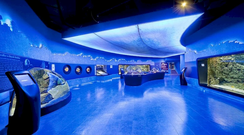  فضای داخلی آکواریوم استانبول