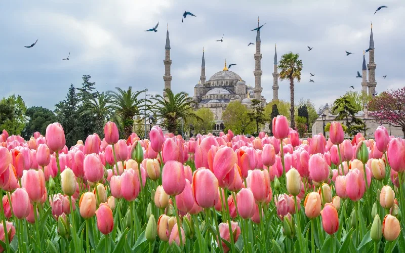 بهار بهترین زمان‌ها برای بازدید از استانبول 
