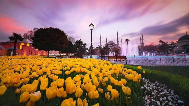 لذت قدمزدن در کنار صدها گل لاله در نوروز استانبول