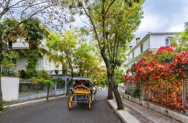 گشتوگذار در جزایر پرنس؛ یکی از بهترین تفریحات نوروزی استانبول