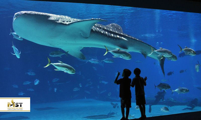 istanbul-aquarium