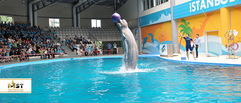 dolphinarium