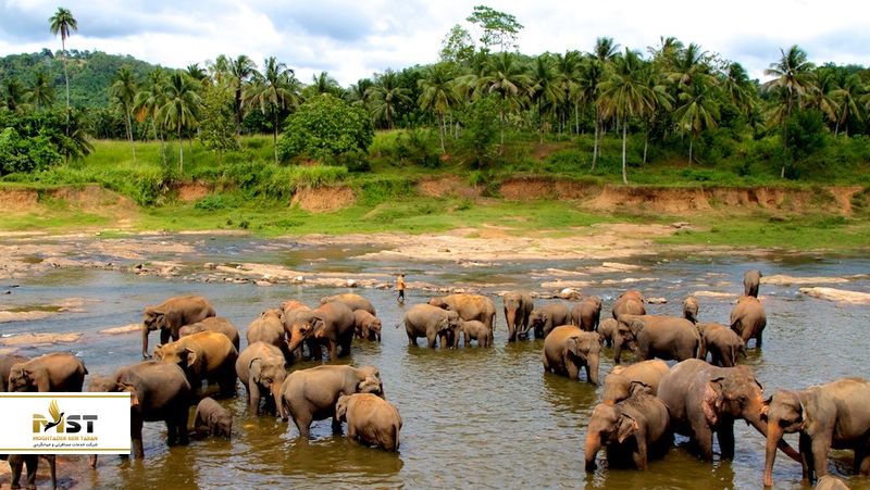 طبیعت سریلانکا