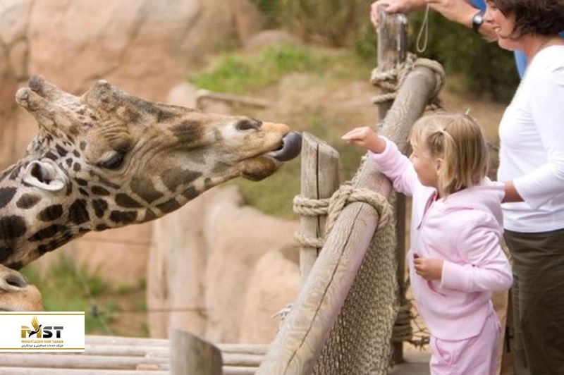 کودک در باغ وحش