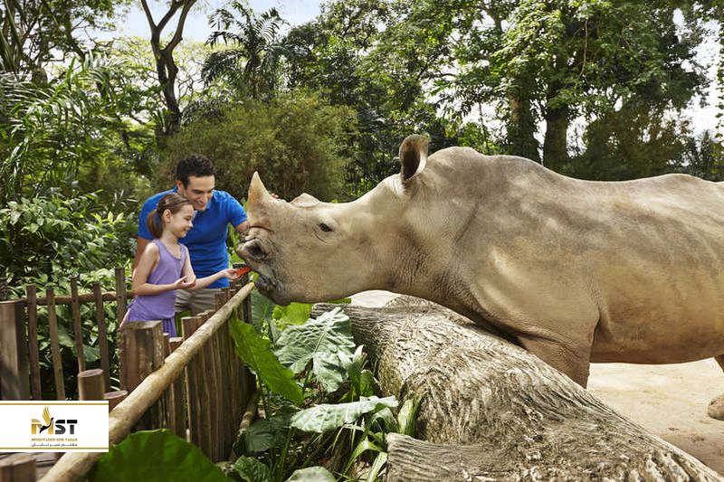 Singapore Zoo