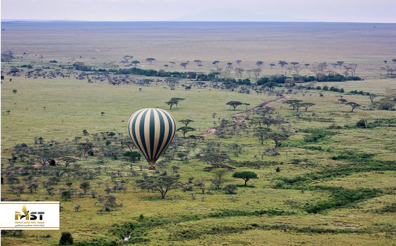 پارک ملی سرنگتی تانزانیا