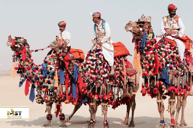 فستیوال شتر در هند