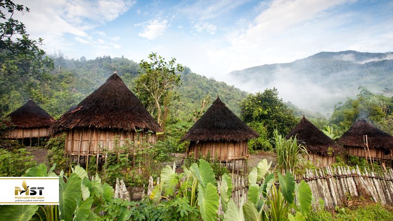 جنگل‌های وحشی پاپوآ گینه نو
