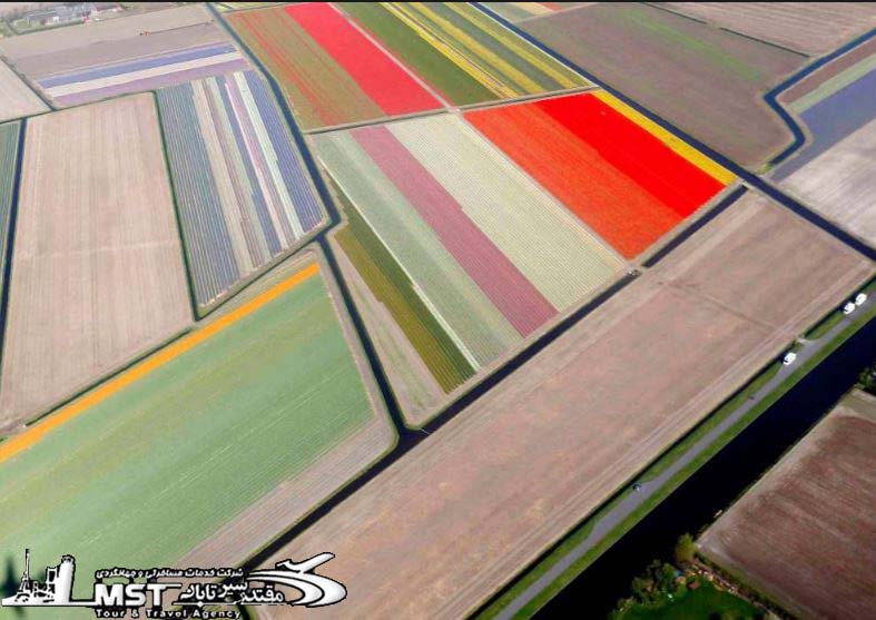 مکان های معروف,عکس هوایی جالب | کوکنهوف پارک، دانشمند، هلند