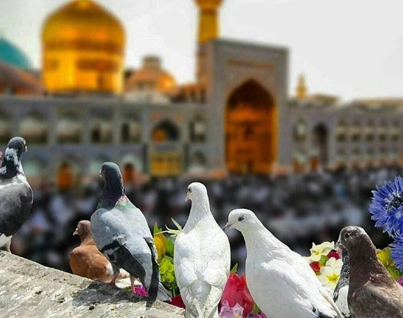  سفر به مشهد در بهار